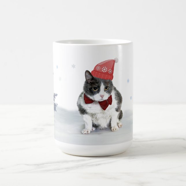 Tasse : Felix, le minou, en janvier (Centre)