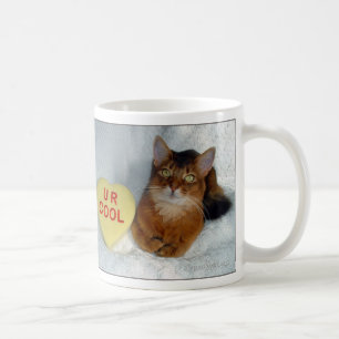 Tasse fraîche somalienne du chat U R de