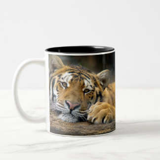 Tasse gauchère de tigre