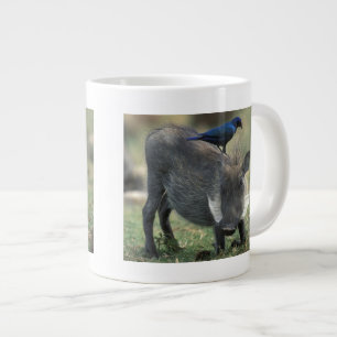 Tasse Géante Afrique du Sud, Pilanesburg GR, Warthog