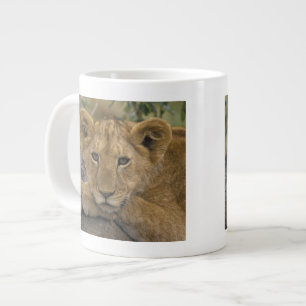Tasse Géante Afrique, Kenya. Portrait d'un lion.