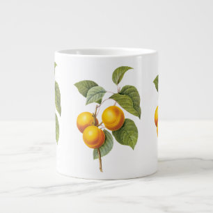 Tasse Géante Aliments anciens Fruits, Abricot Pêche par Redoute