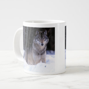 Tasse Géante Amérique du Nord, Canada, Est du Canada, Loup gris