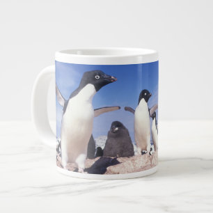 Tasse Géante Antarctique, Manchot Adélie Pygoscelis