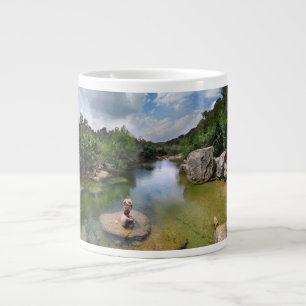 Tasse Géante Barton Creek 15 - Austin Texas