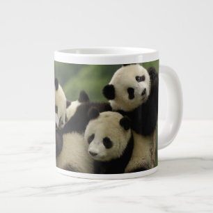 Tasse Géante Bébés pandas géants Ailuropoda melanoleuca)