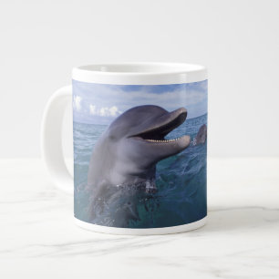 Tasse Géante Caraïbes, Grand dauphin