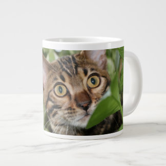 TASSE GÉANTE CHATON DU BENGALE DANS LE POTHOS