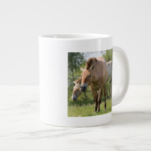 Tasse Géante Cheval de Przewalski et poulain marchant