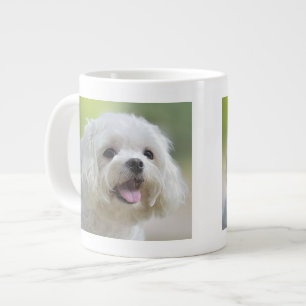 Tasse Géante Chien maltais blanc