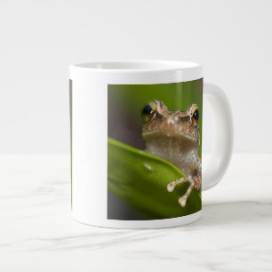 Tasse Géante Coqui commun, Eleutherodactylus coqui