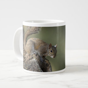 Tasse Géante Écureuil gris de l'Est, ou écureuil gris