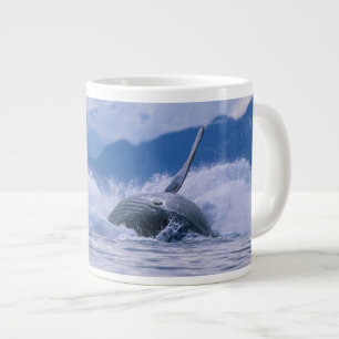 Tasse Géante États-Unis, Alaska, Tongass National Forest, Humpb