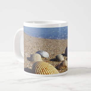 Tasse Géante États-Unis, Floride, coquillages marins côtiers