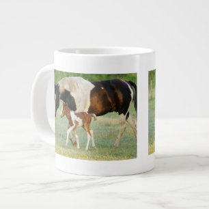 Tasse Géante États-Unis, Floride, Pouliche Paint nouveau-né
