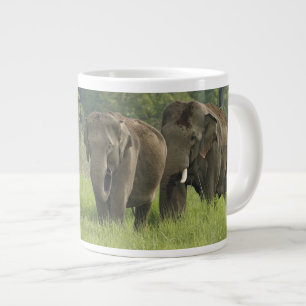 Tasse Géante Famille d'éléphants indiens