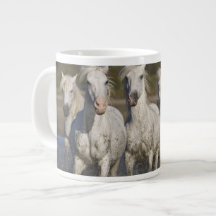 Tasse Géante France, Camargue. Les chevaux courent