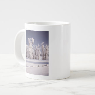 Tasse Géante Frost a couvert les arbres et la barrière, le