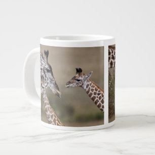 Tasse Géante Girafe maasaï (Giraffa tippelskirchi)