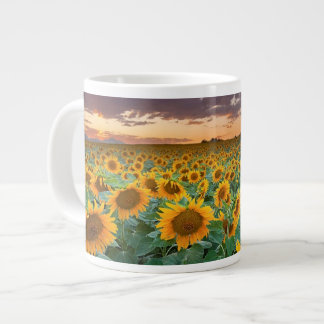 Tasse Géante Gisement de tournesol dans Longmont, le Colorado