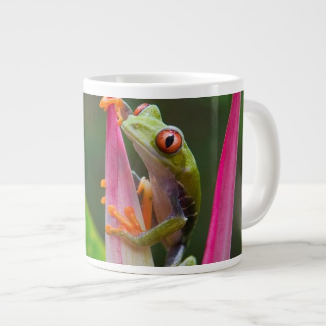 Tasse Géante Grenouille à oeil rouge, Costa Rica (Devant droit)