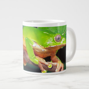 Tasse Géante Grenouille arboricole singe bicolore, Phyllomedusa