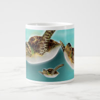Illustration de tortues marines