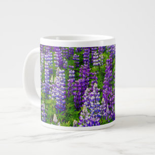 Tasse Géante Islande. Vik i Myrdal. Champ de lupins