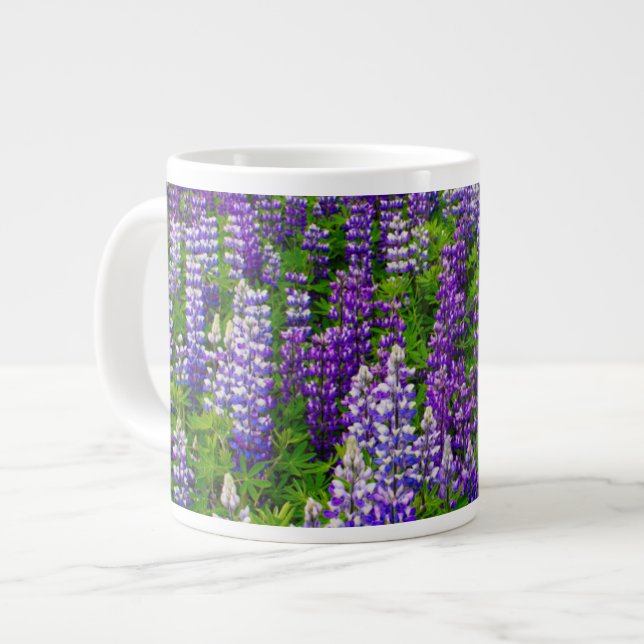 Tasse Géante Islande. Vik i Myrdal. Champ de lupins (Devant gauche)