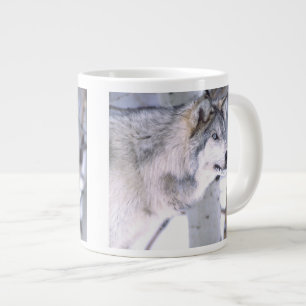 Tasse Géante Loup Gris, Canis lupus, Animal de Film Utah)