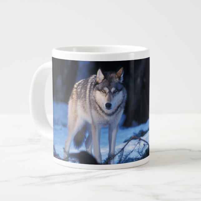 Tasse Géante loup gris, Canis lupus, dans les contreforts (Devant gauche)