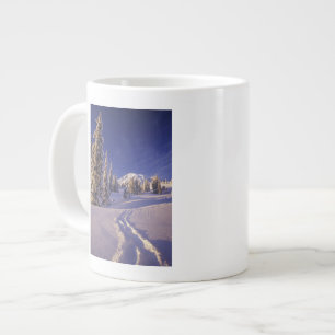 Tasse Géante NA, États-Unis, Washington, Mt. Rainier NP, raquet