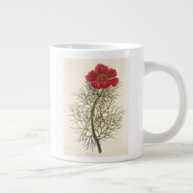 Tasse Géante Paeony à feuilles fines (Droite)