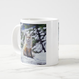 Tasse Géante Renard roux assis sur un banc de neige, Vulpes, Mt