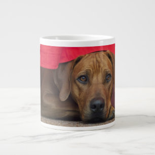 Tasse Géante rhodésien