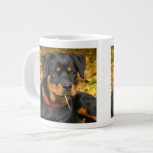 Tasse Géante Rottweiler Pup Allongé Sur Le Terrain Dans La Forê
