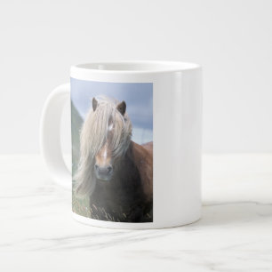 Tasse Géante Royaume-Uni, Écosse, îles Shetland, poney Shetland