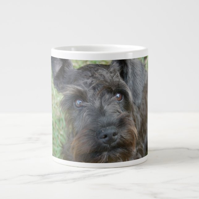Tasse Géante Schnauzer noir (Devant)
