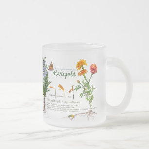TASSE GIVRÉ 