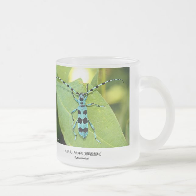 Tasse Givré ルリボシカミキリムシ、Blue Longhorn Beetle with Black Spots (Droit)