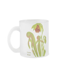 Californica de Darlingtonia, plante carnivore