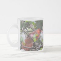 Cardinal masculin au printemps