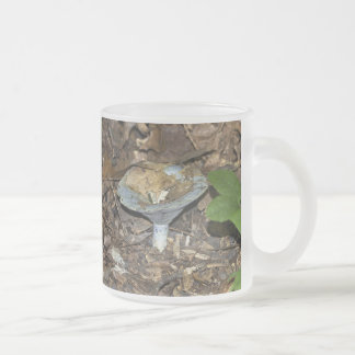 Tasse Givré Champignon bleu Lactarius indigo