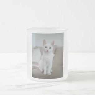 Tasse Givré chat blanc   Zazzle_Growshop.