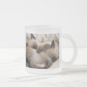 Tasse Givré Chaton siamois mignon de chat d'animal familier de