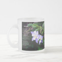Colorado Montagnes Rocheuses 10 oz de verre givré