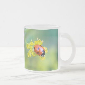 Tasse Givré femme au sommet