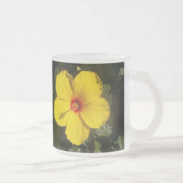 Tasse Givré Fleur d'Hibiscus jaune (Droit)