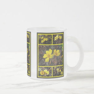Tasse Givré Houseplant à fleurs jaunes d'Oxalis