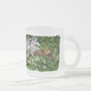 Tasse Givré Hummingbird Clear Wing Moth sur Monarda